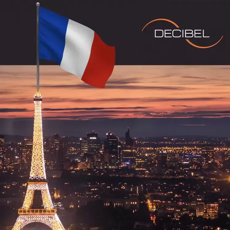 Bonjour la France! - първи проекти във Франция