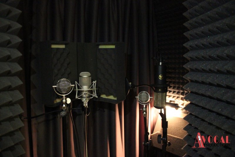 Акустична обработка на Avocal Music Studio