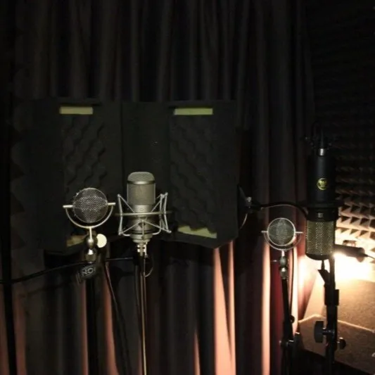 Акустична обработка на Avocal Music Studio